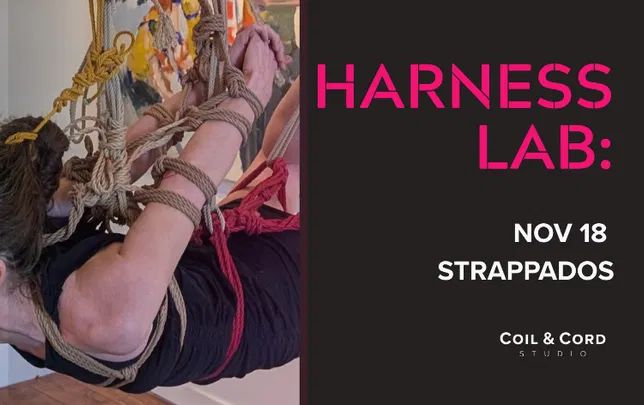 Harness Lab