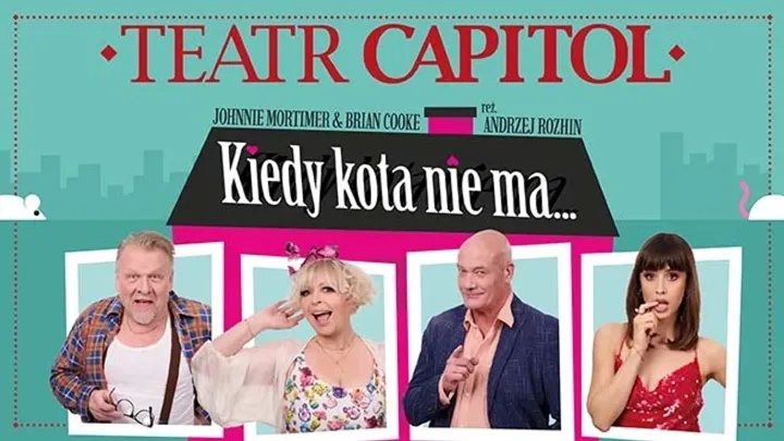 Kiedy kota nie ma