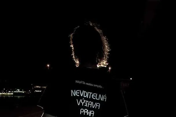 Neviditelná výstava: Klasická prohlídka