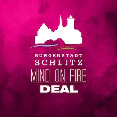 MIND ON FIRE FESTIVAL - Tageskarte - Schlitz-Deal