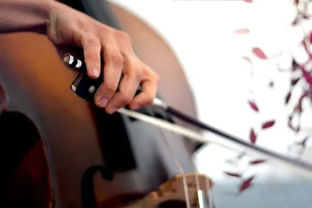 SOPHIE SOLO