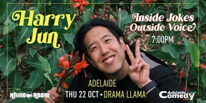 HARRY JUN: INSIDE JOKES, OUTSIDE VOICE