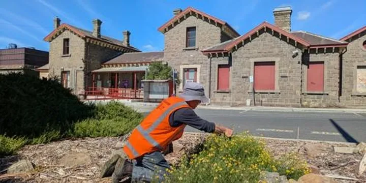 Kyneton Station Spring Planting