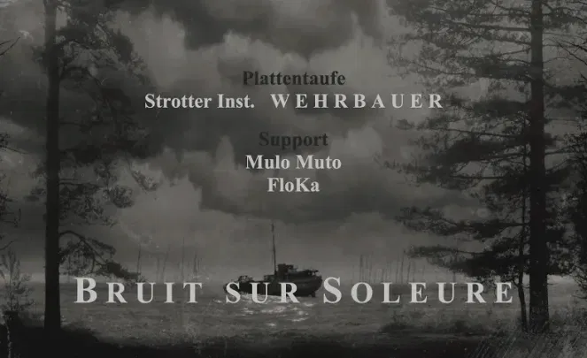 Bruit sur Soleure