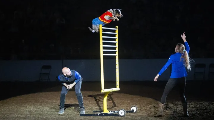 Xtreme Dogs - Sat. Jan. 16 6:30pm