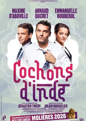Cochons d'Indes