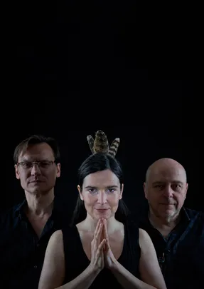 Číro na důchod (Vladimír Václavek, Jana Vébrová, Petr Tichý)