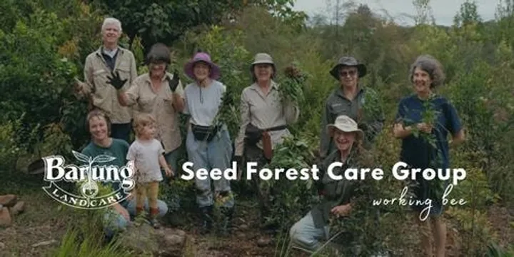 Barung Seed Forest Care Group - Working Bee October 2026