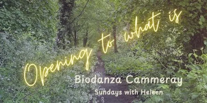 Biodanza-across