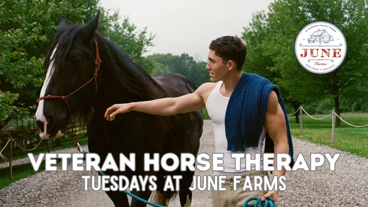 Veteran Horse Therapy Class