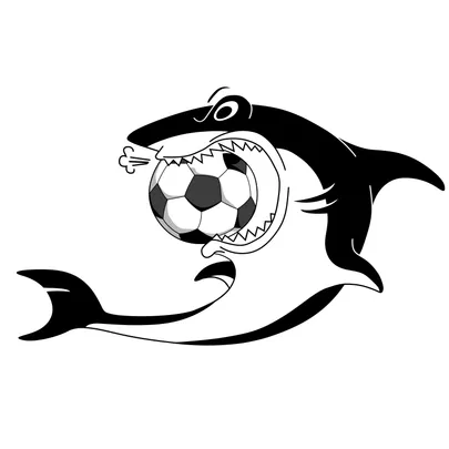 Lake Albert Sharks 2026 Senior Presentation