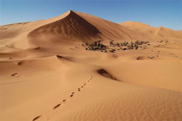 Desert Chess
