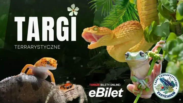 Exoticarium + Nowy Sącz + Wystawa pająków