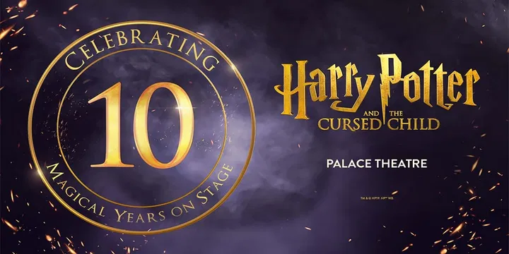 Harry Potter And The Cursed Child (One Part)