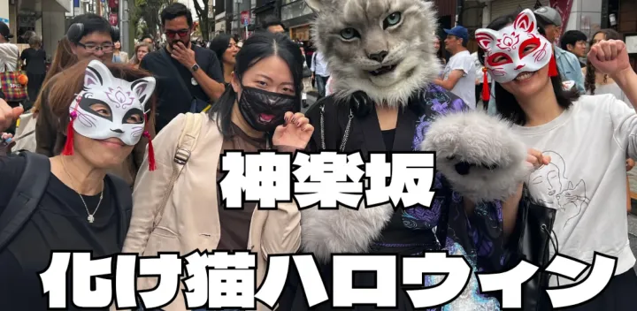 10/11神楽坂化け猫パレードで化け猫になりきる（3年連続参加）