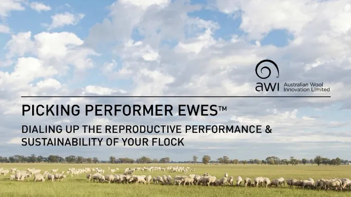 Picking Performer Ewes Workshop - Armidale