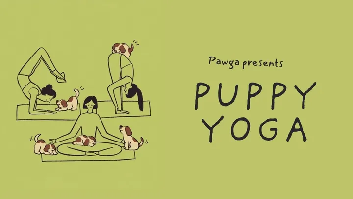Pawga's Yoga with Puppies at The Bistrograph
