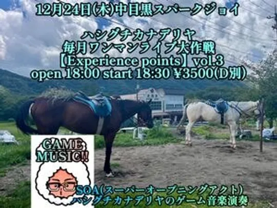 ハシグチカナデリヤ毎月ワンマンライブ大作戦 【Experience points】vol.3