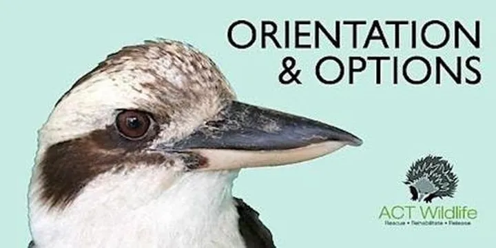 Orientation for members