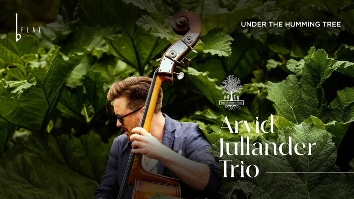 Arvid Jullander Trio