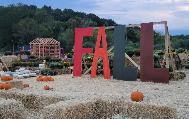 Bellemont Farm - Harvest Time Festival