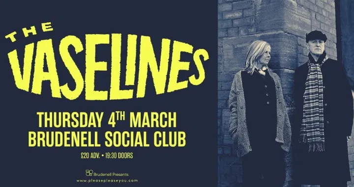 The Vaselines