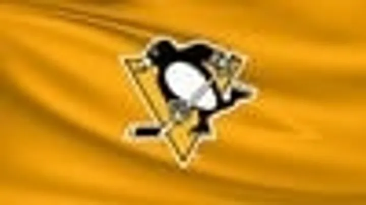 Pittsburgh Penguins vs. Dallas Stars