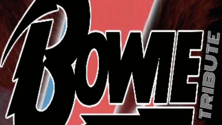DAVID BOWIE TRIBUTE - SPIDERS on MARS