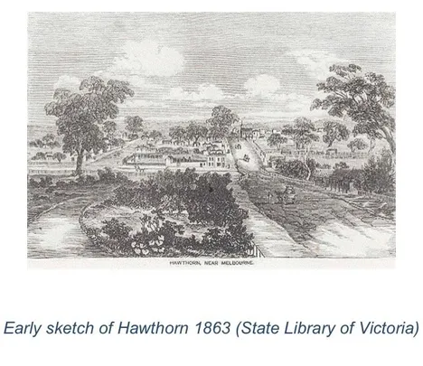 How Hawthorn Changed from Village to City