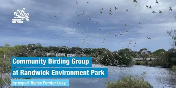 Community Birding Group - 13.03.27