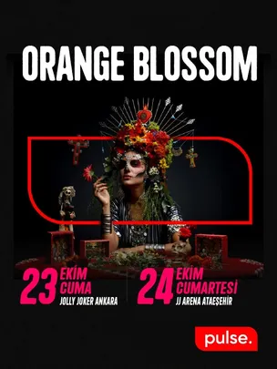 Orange Blossom