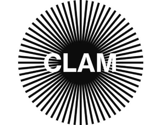 CLAM - Festival Internacional de Cinema Social de Catalunya
