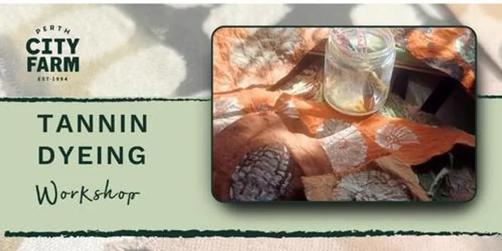 Tannin Dyeing Workshop