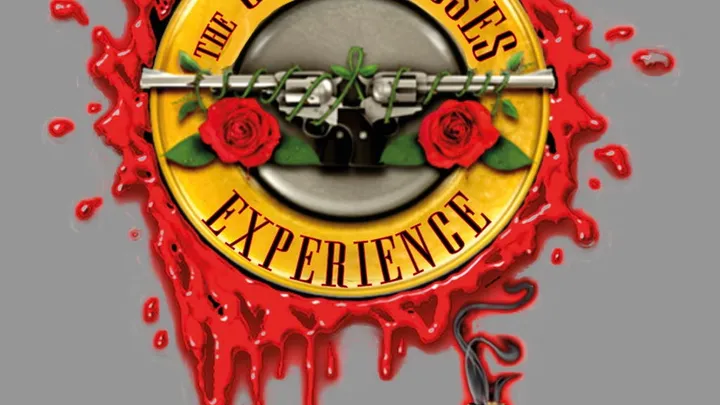 Guns N'Roses Experience