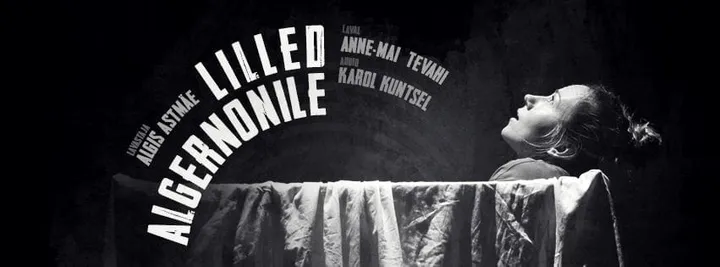 “LILLED ALGERNONILE” & VESTLUSÕHTU
