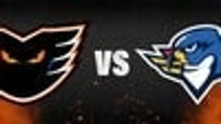 Lehigh Valley Phantoms v Springfield Thunderbirds
