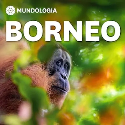 MUNDOLOGIA: Borneo