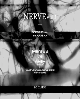 NERVE vol.1