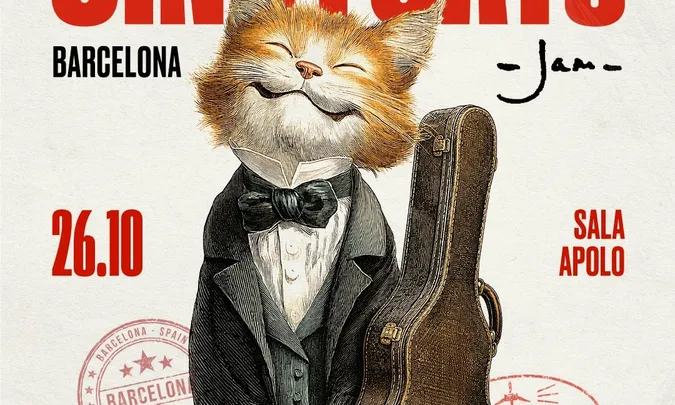 Cindy Cats
