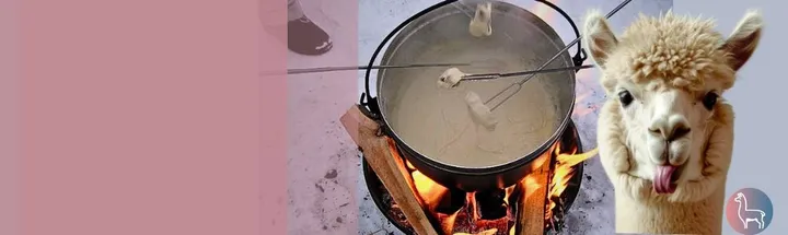 Fondue inmitten Alpakas - Oberiberg, Schwyz