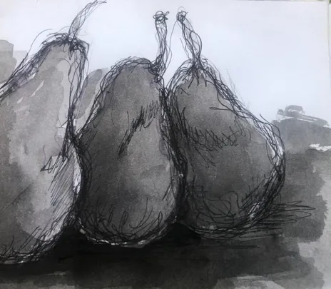 Ways to Draw with Rosie McKeand  Term 4 2026