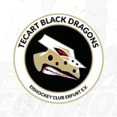 Hannover Scorpions - TecArt Black Dragons Erfurt