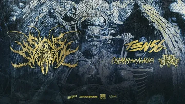 Signs of the Swarm