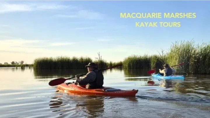 Macquarie Marshes Kayak Tour - Morning Slow Serenity Tour