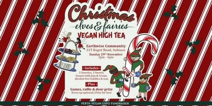 Christmas Elves and Fairies High Tea