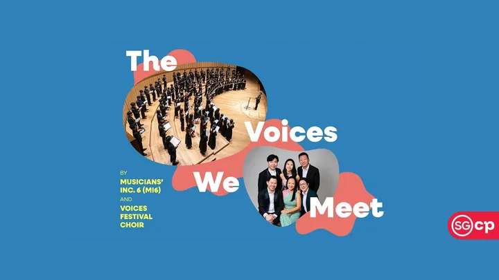 The Voices We Meet
