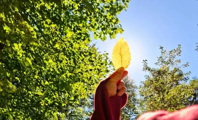Schamanisches Breathwork - Heilung für die Ahnenlinie