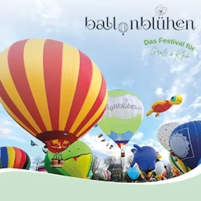 Ballonblühen - Reutlingen