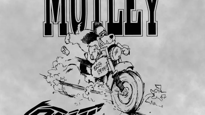 The Rooters, Mutley and Morton & Owen - Charity Event