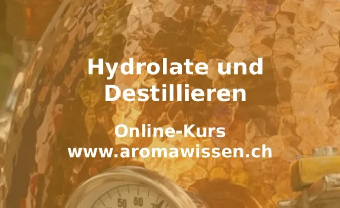 Hydrolate und Destillieren (Online-Kurs)